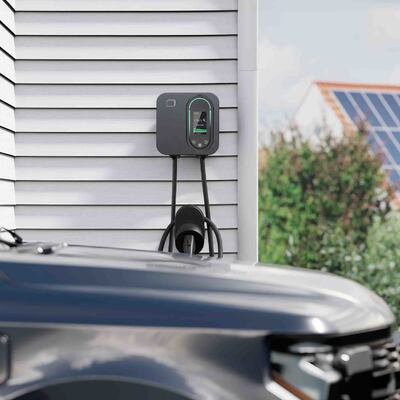 구입하다 32A 7kW IP65 AC EV 충전 스테이션 2 타입 커넥터와 함께 Wallbox EV 충전기 온라인 제품