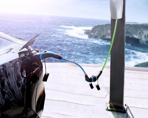 EN50620 TPU EV 충전 케이블 EV 어댑터 변환기 유형 2-유형 1 플러그